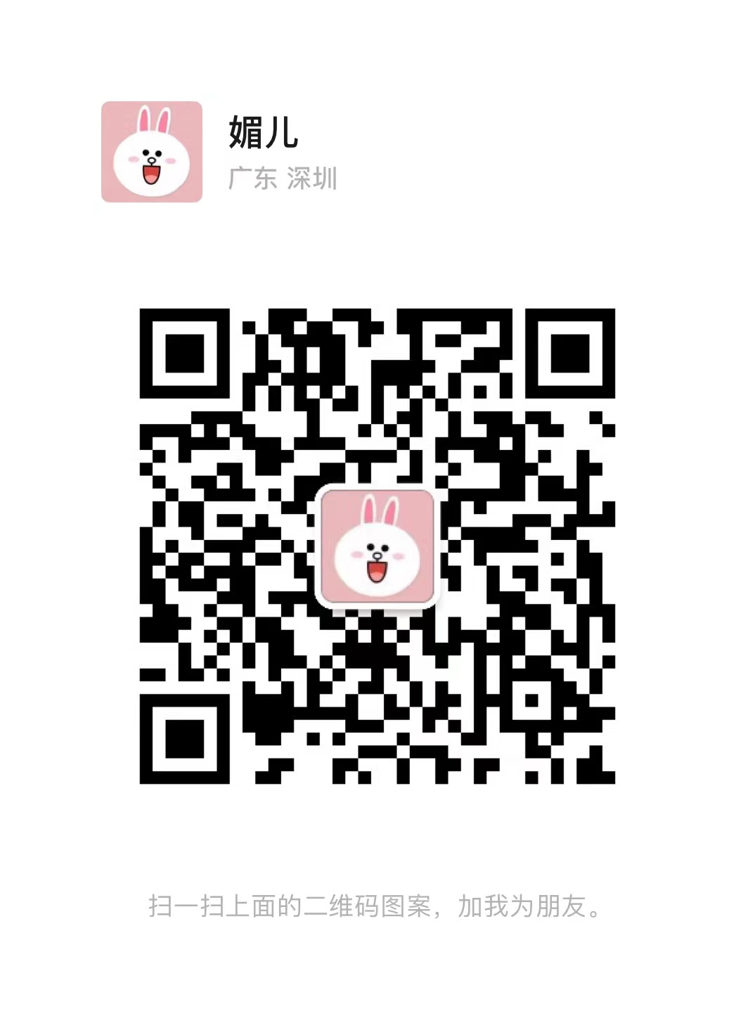 10ft Braided MFi iPhone Charger